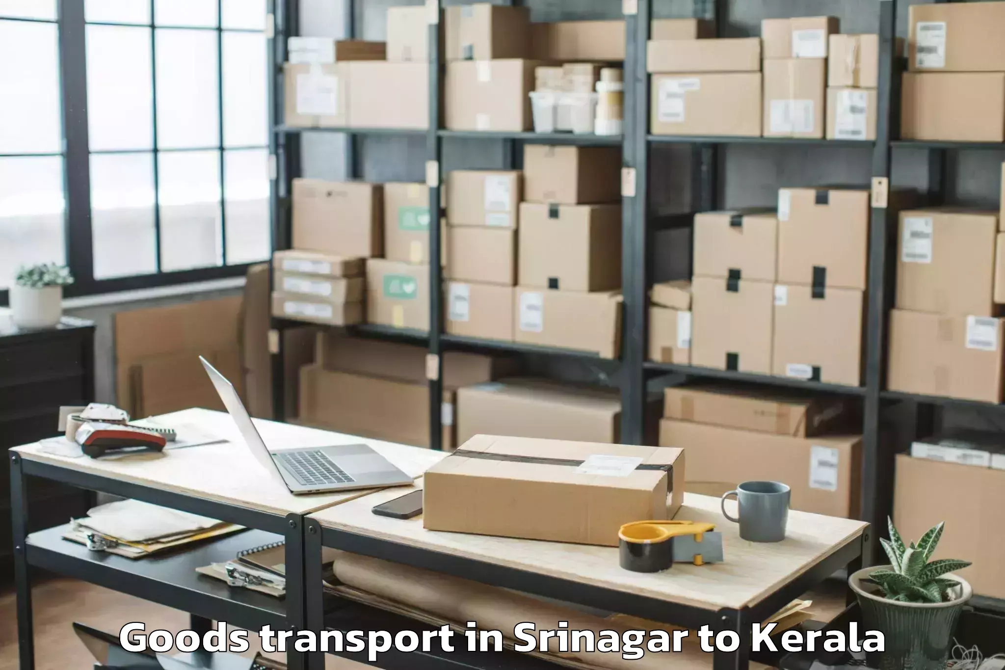 Affordable Srinagar to Nedumkandam Goods Transport